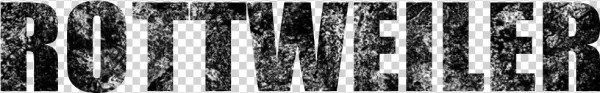 Rottweiler - Monochrome