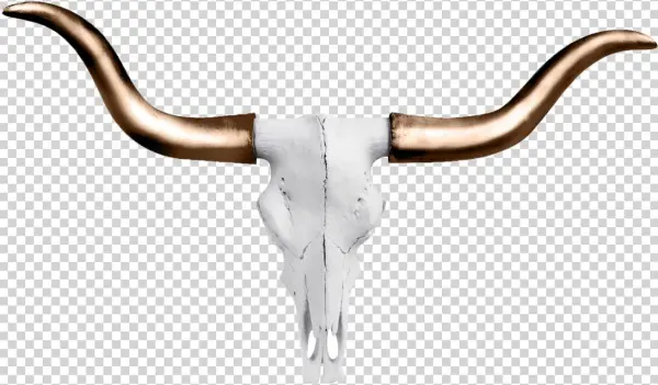 Austin Texas Longhorn Wall Décor Wall Charmers Color:
