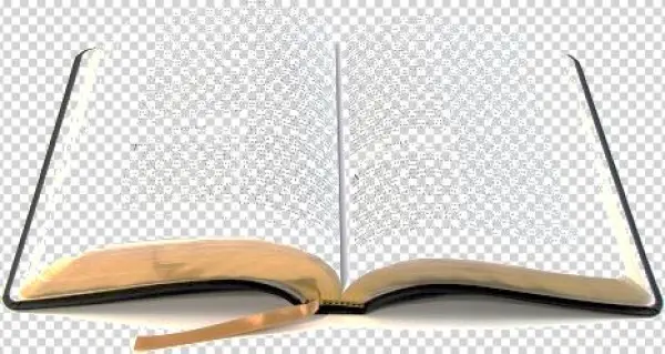 Biblehomepage3 - Baptists: The Only Thorough Religious Reformers - Trade