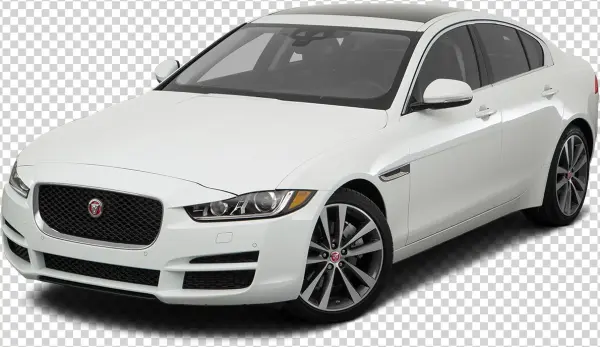 Black Jaguar Png
