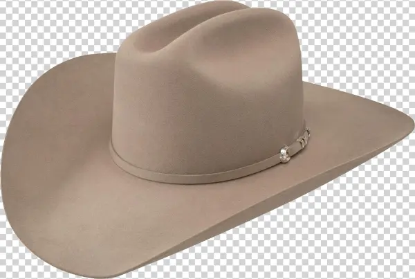 Fedora Hat Png