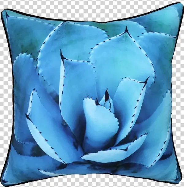 Golden Succulent Canvas Print, Oliver Gal Size: 20"