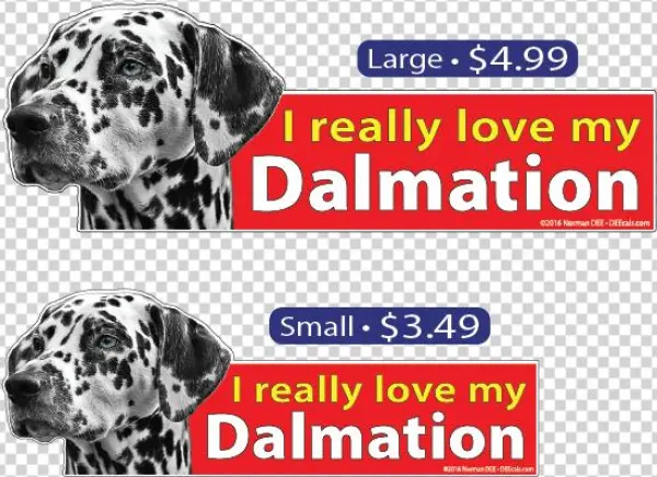 I Love My Dalmation - My Dalmation Journal [book]