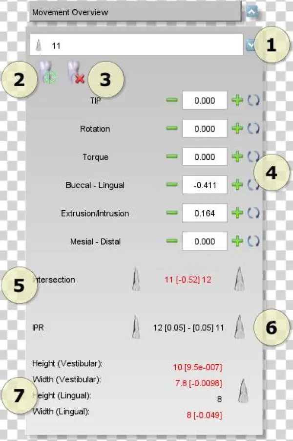 Maestro3d - Dental - Studio - Virtual - Setup - Movement - Dentistry