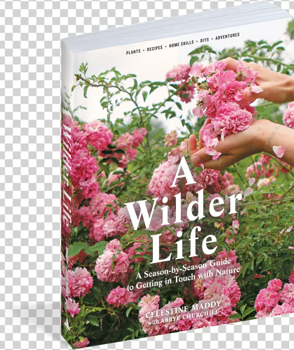 View Full Size Image - Wilder Life: A Season-by-season Guide To Getting In