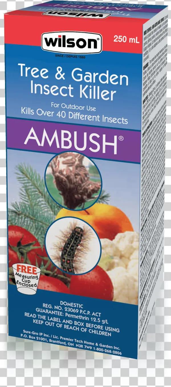 Wilson Ambush