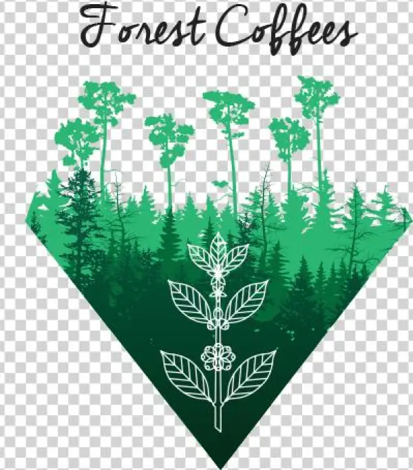 A New Belco's Venture - Café De Foret
