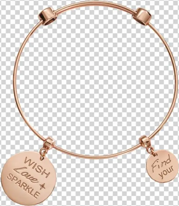 B1043rg17 - Nikki Lissoni Charm Bangle Rose Gold-plated Your Inner