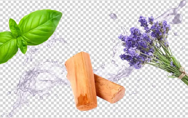 Created With Sketch - Rose Water Facial Toner Spray - 100% Natural Astringent