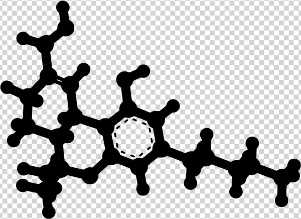 Download Png - Important Biochemicals And Organic Compounds [book]