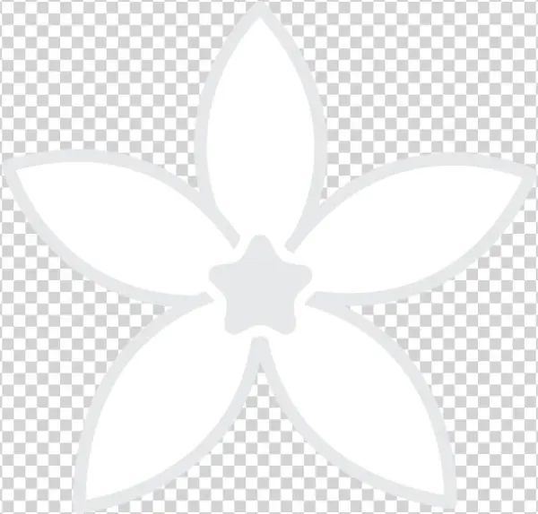 Jasmine