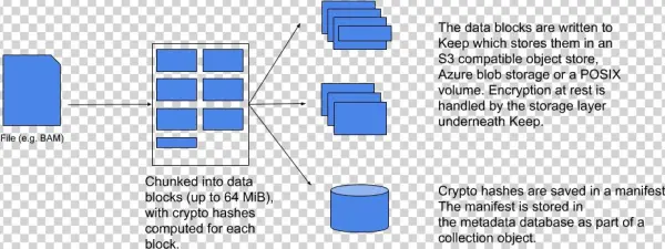 Keep Workflow Diagram 3 - Download