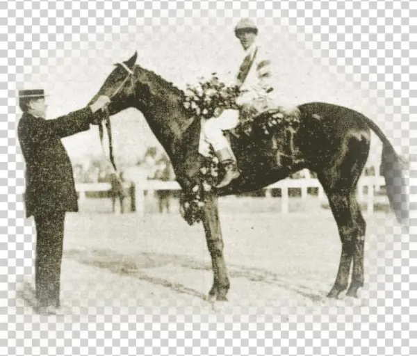 Okay, A Little History - Stallion