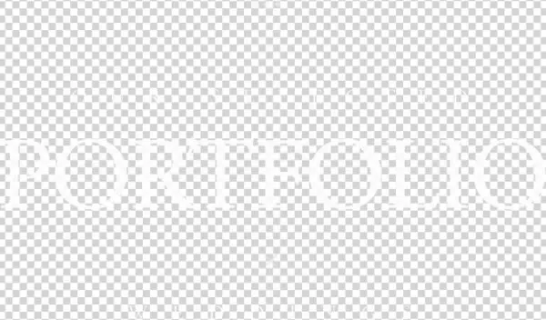 Portfolio - Sleeve