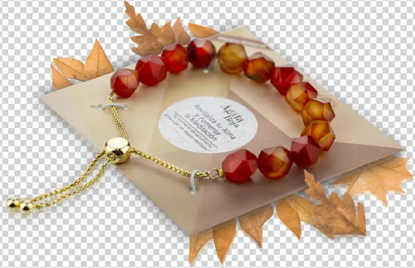 Pulsera - Bracelet