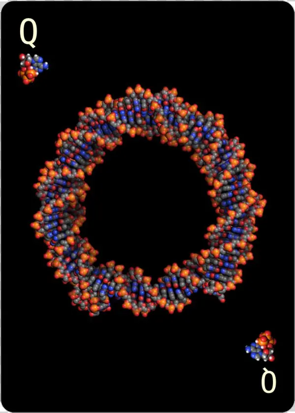 Queen Of Nucleotides - Circle