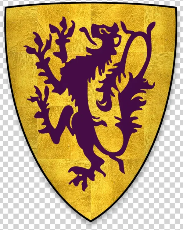 Shield Design Png
