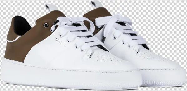 Skate Shoe