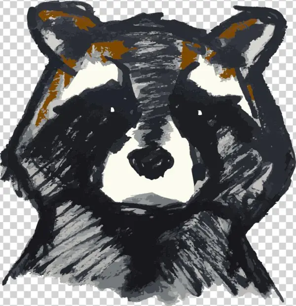 Vndjpfr0tvchxh4q0lnn Raccoon - Illustration
