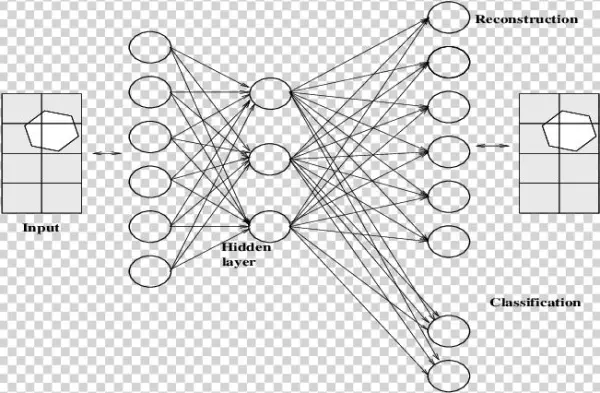 A Single Hidden Layer Drives Both The Classification - Circle