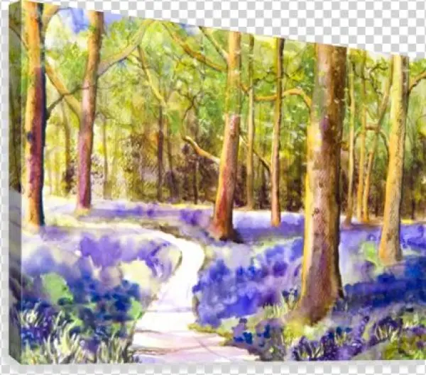 Bluebell Wood Canvas Print - Painting