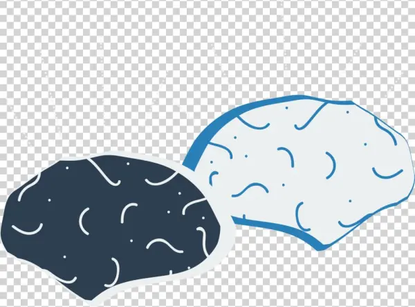 Brains - Illustration