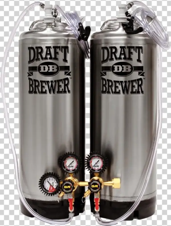 Draft Brewer Flex Homebrew Kegging System For Home