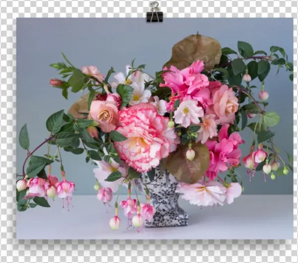 Dsc07223 Mockup Transparent Transparent - Bouquet