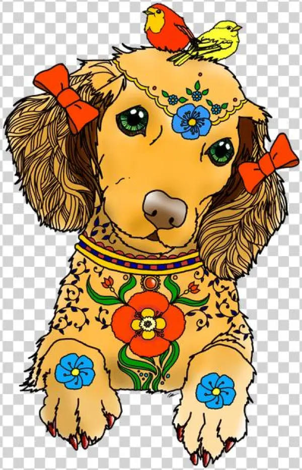Get Yours Now - Art Of Dachshund Coloring Book Collection Ii: A Coloring