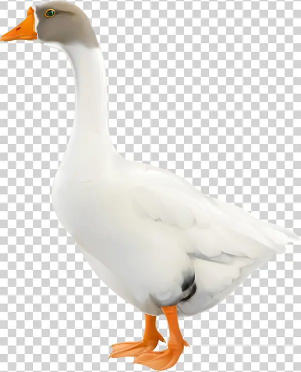 Goose Png