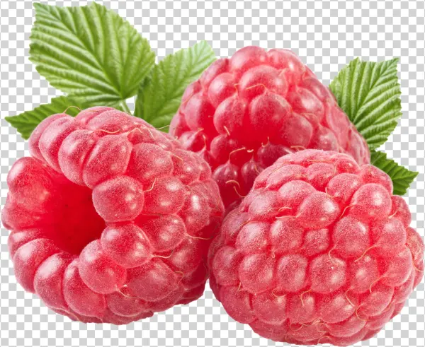 Instagram Png Transparent