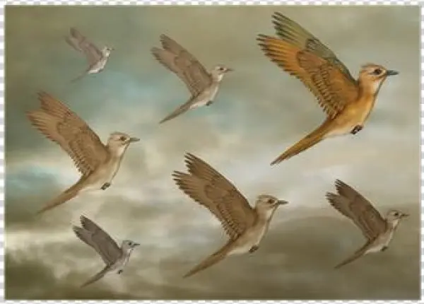 Journal Your Life's Story: Dreaming Of A Flock Of Birds