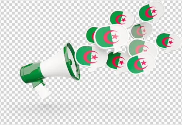 Megaphone Icon Png