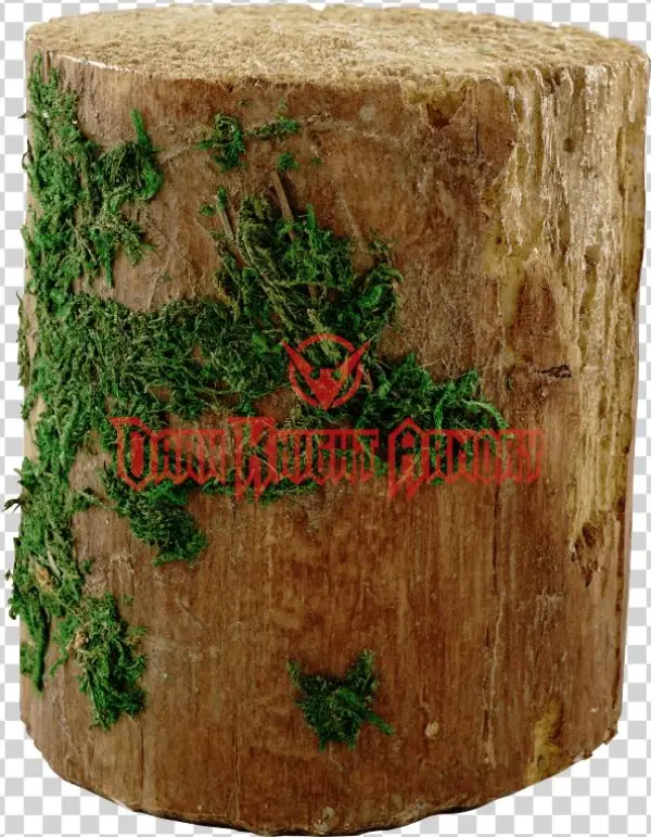 Mossy Statuaries By Top Collection - Mossy Tree Stump