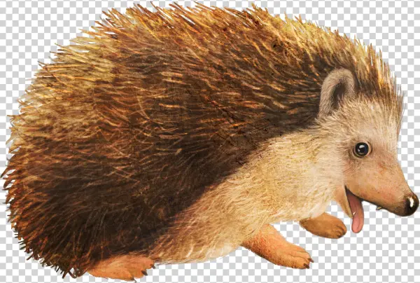 Picture Royalty Free Stock Cartoon Small Animal Material