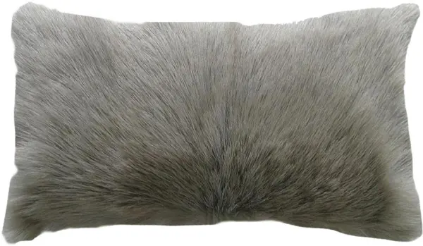 Pillows Transparent