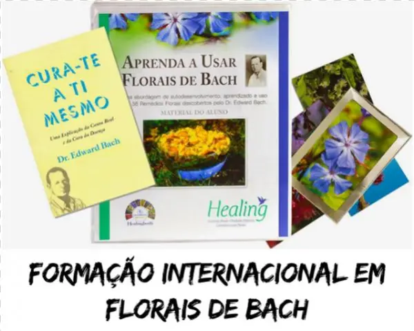 Terapia Floral Sistema De Bach - Write A Book From Scratch: A Step-by-step Guide For