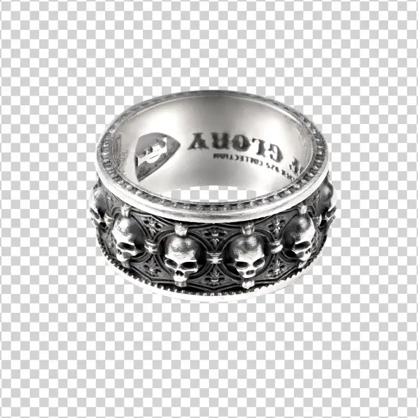 Titanium Ring