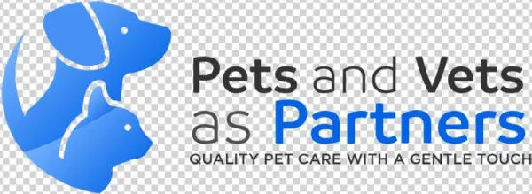 Website Logo - Graphic Design