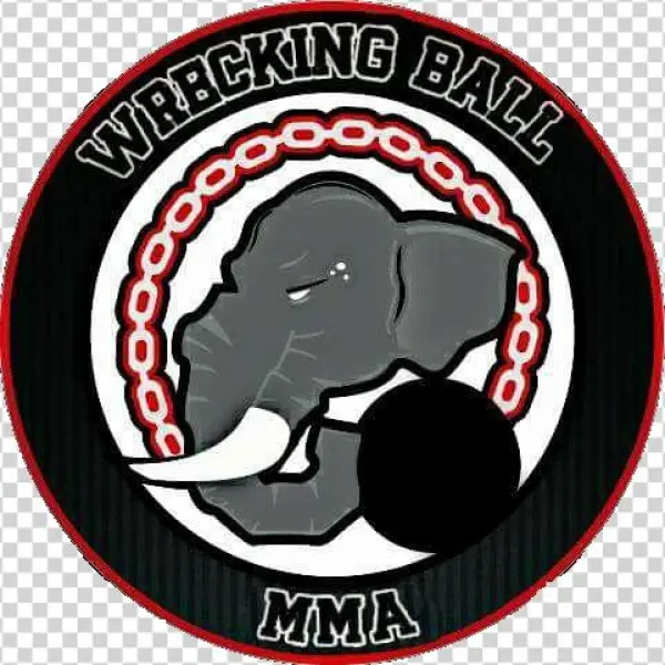 Wrecking Ball Png