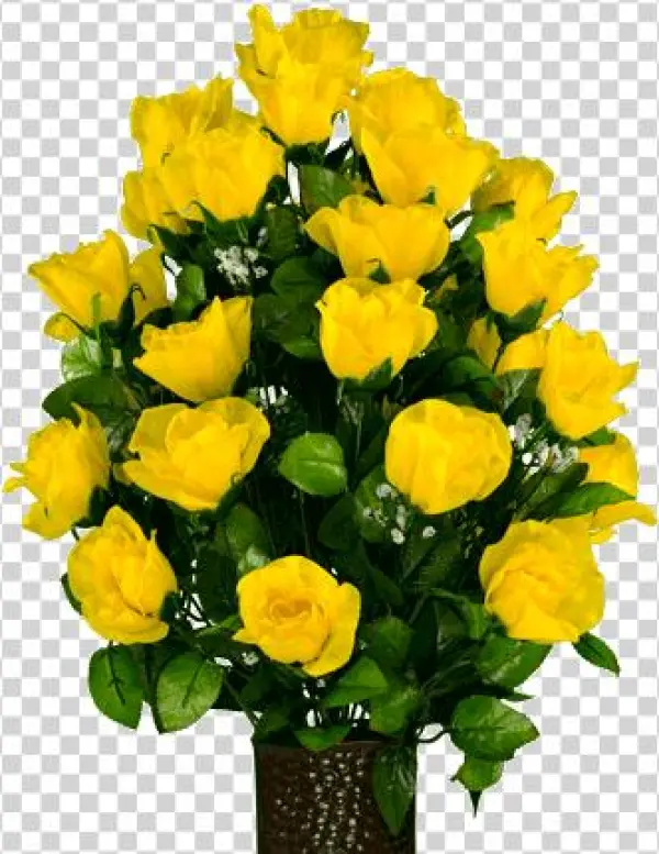 Yellow Roses