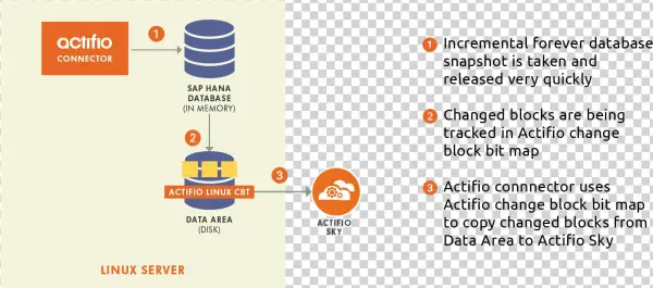 Actifio For Sap Hana - Actifio