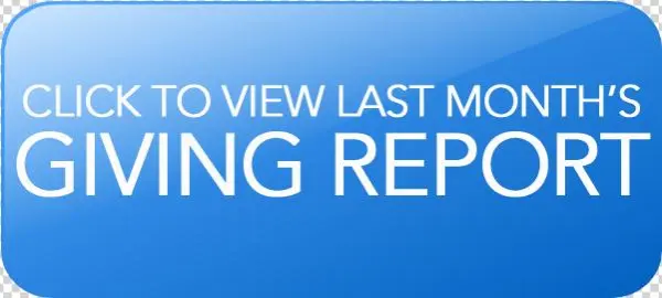 Blue Button Report