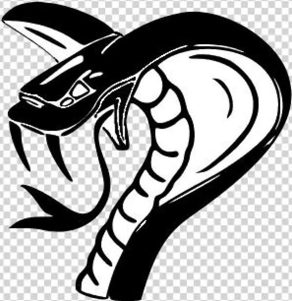 Cobra - Illustration