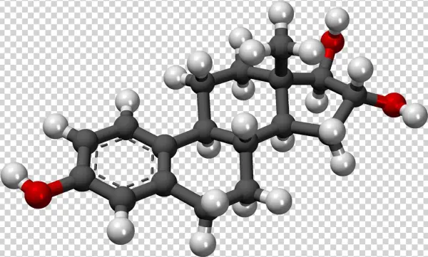 Estriol 3d Model - Estriol 3d