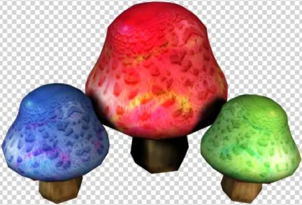 File - Fungi - Wiki