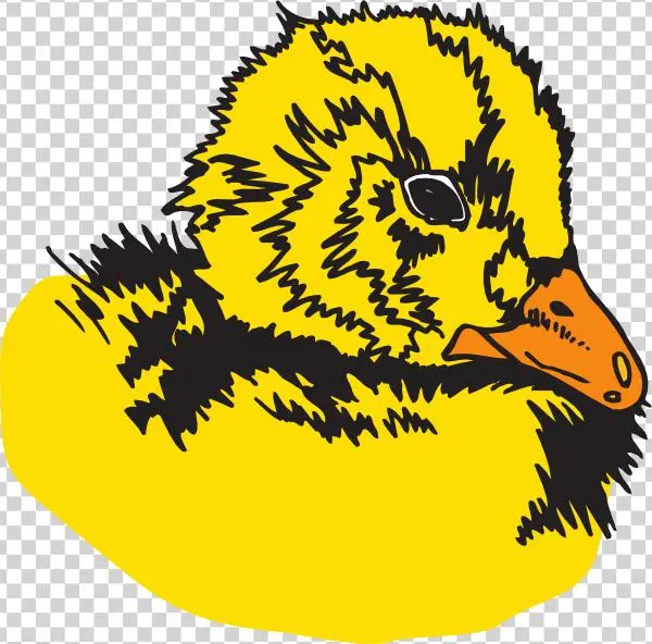How To Set Use Duckling Svg Vector