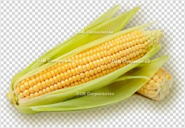 Ingredients - - Intercropping And Weed Management Practices In Maize