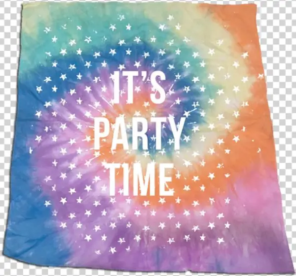 It's Party Time Bandanna - Art