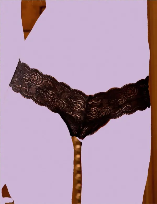 Rr1050 V=1478382033 - Panties